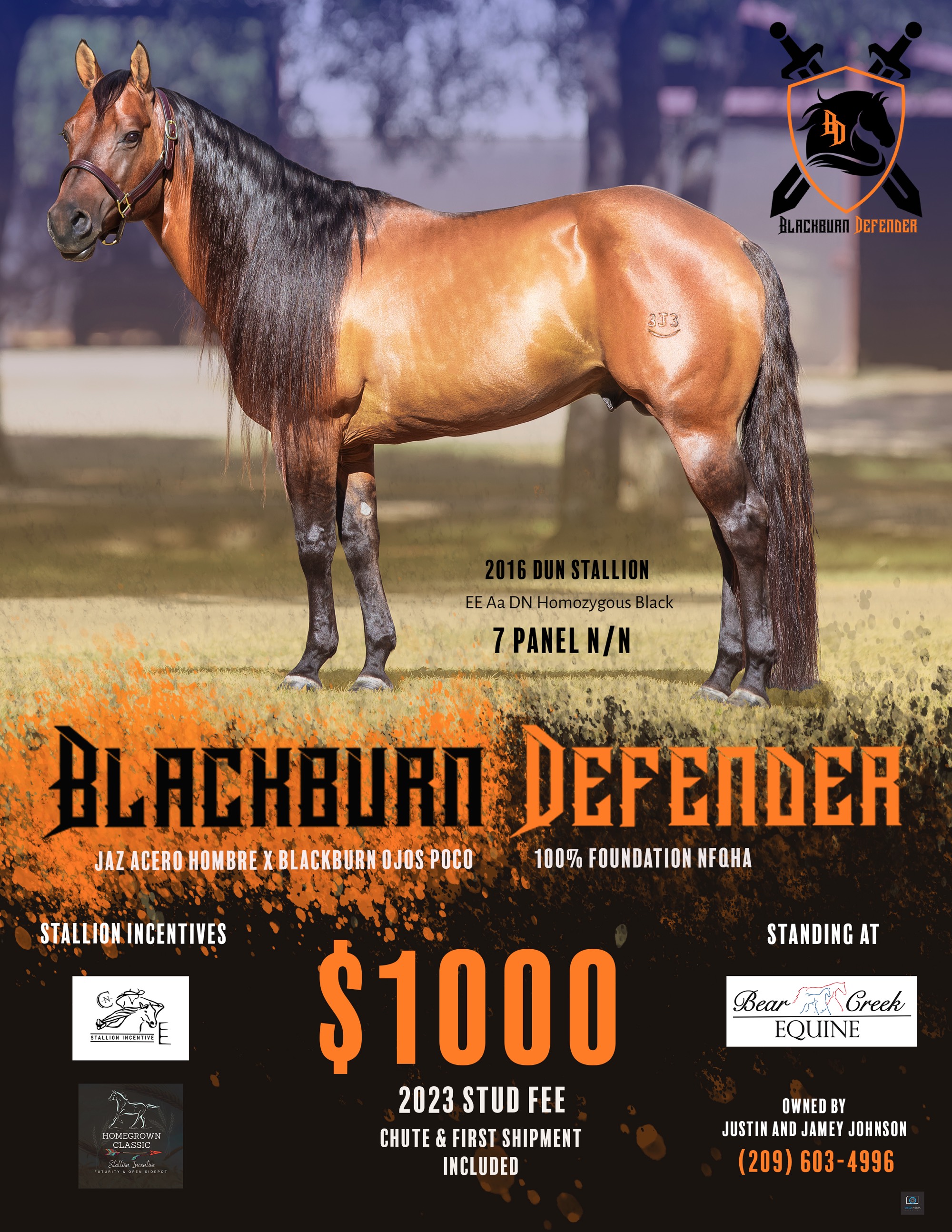 BlackburnDefender23ad