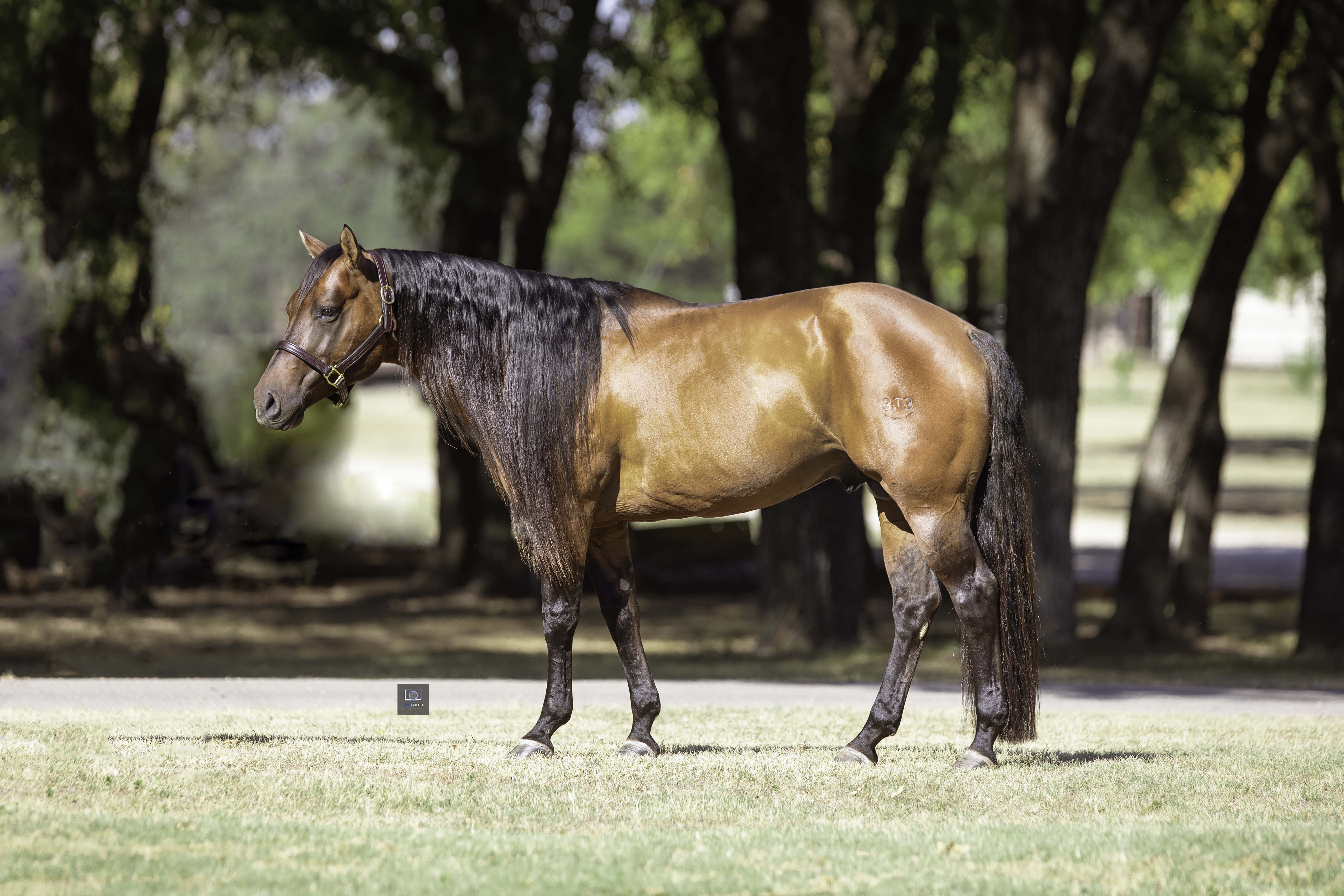 _G9A8588 Edit-Edit%20%281%29